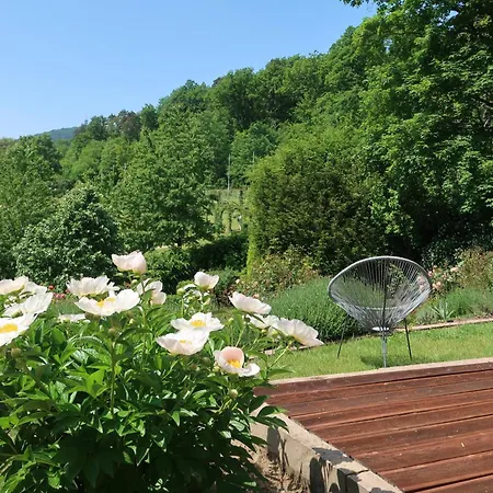 Apartment Im Rosentraum Mit Privater Terasse Baden-Baden Extérieur photo