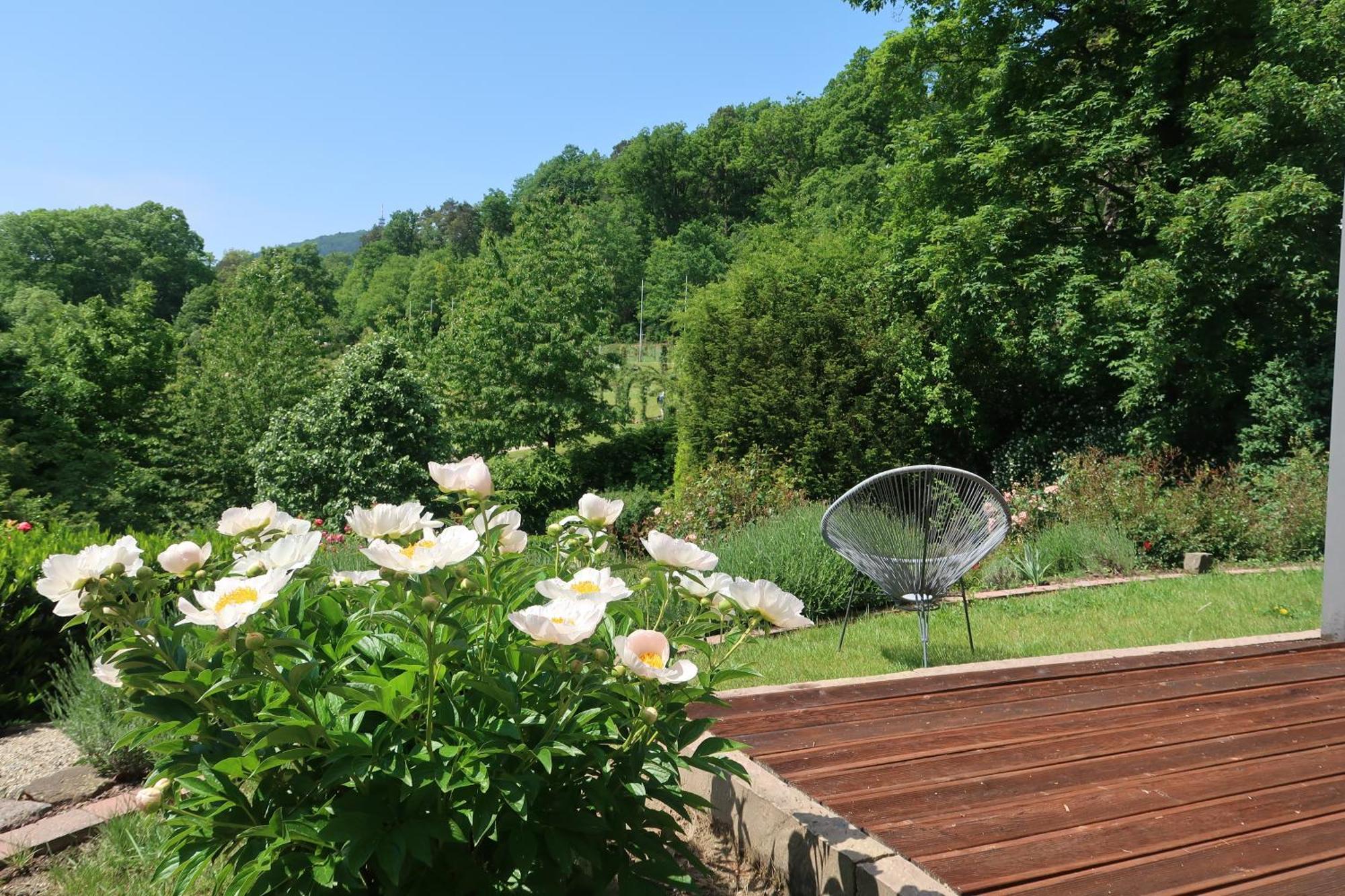 Apartment Im Rosentraum Mit Privater Terasse Baden-Baden